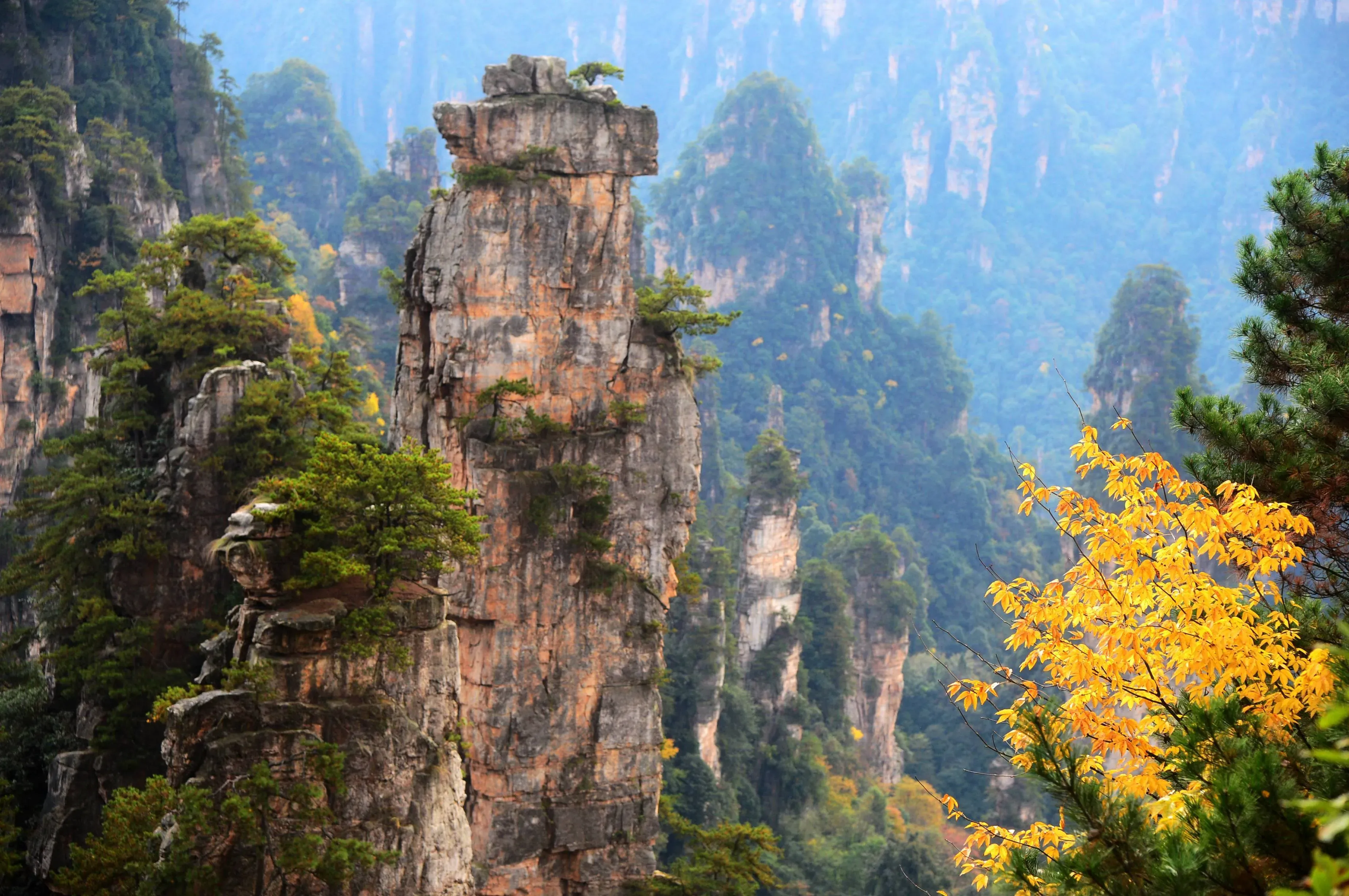 Zhangjiajie stone pillars in autumn, surrounded by red and gold foliage