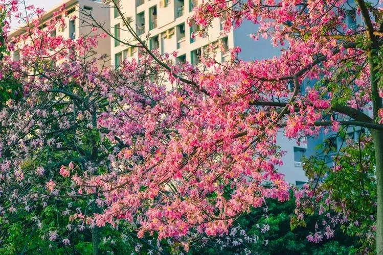 Guangzhou riverfront and sunny streets in November