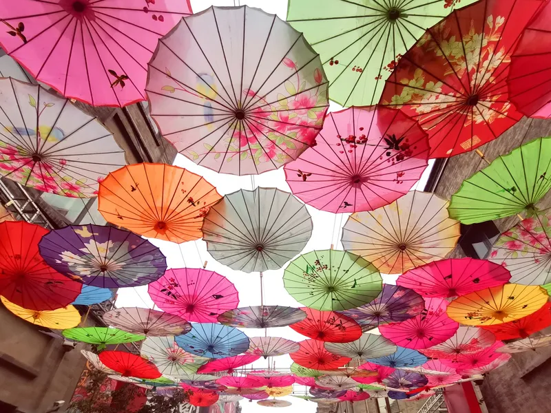 A traditional Chinese oil-paper umbrella painted with plum blossoms, showcasing the craftsmanship and cultural symbolism of Chinese umbrellas.