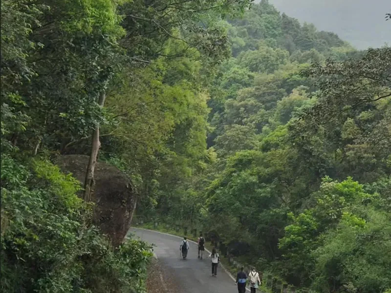 Wuhuangshan hiking trail