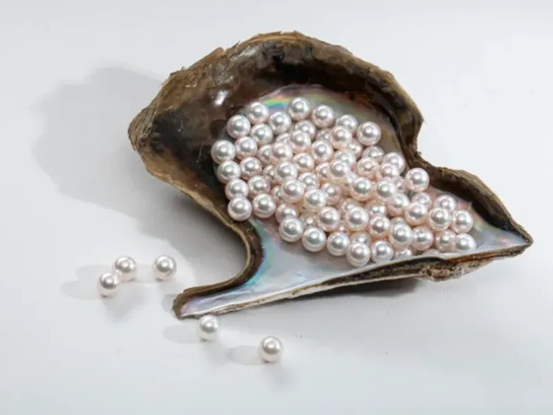 Symbol of Guangxi Zhuang Autonomous Region Museum