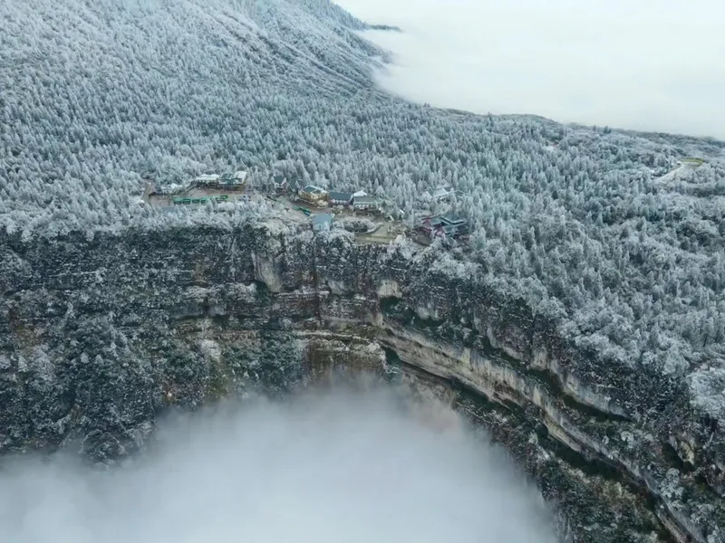 峨眉山登山步道，展示石阶路径穿过茂密竹林和传统灯笼