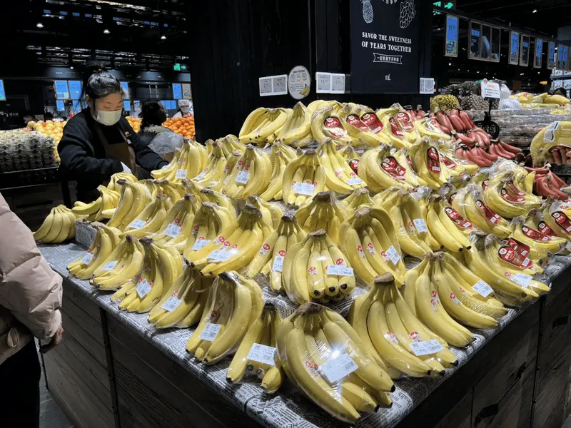 Walking Through Pangdonglai