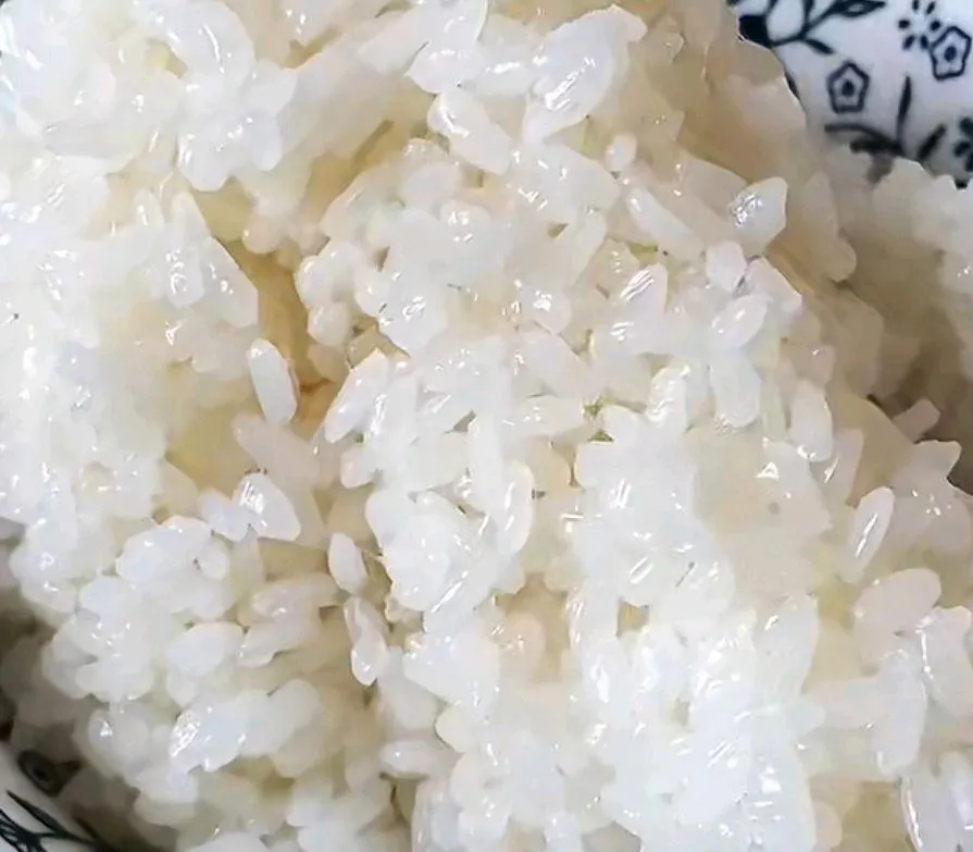 Close-up comparison of sticky rice grains with high amylopectin content and long-grain rice with more amylose, showing their different textures