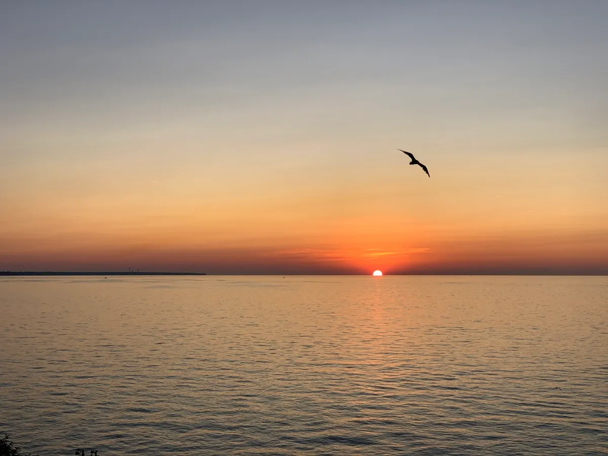 Four traditional Chinese ethnic instruments—the Morin Khuur, Lusheng, Dutar, and Yi Moon Lute—representing the musical heritage and cultural traditions of Mongolian, Miao, Dong, Uyghur, and Yi communities.