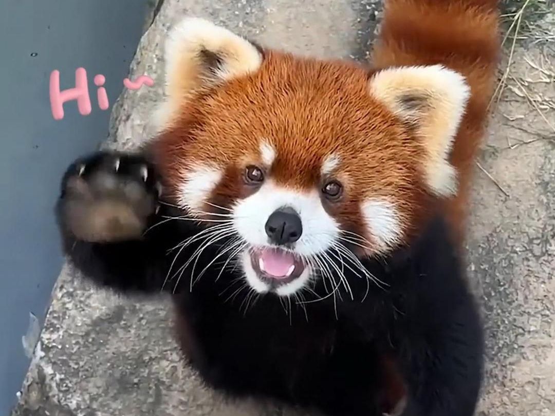 Illustration of everyday life memes in China, including food, transportation, and social situations.