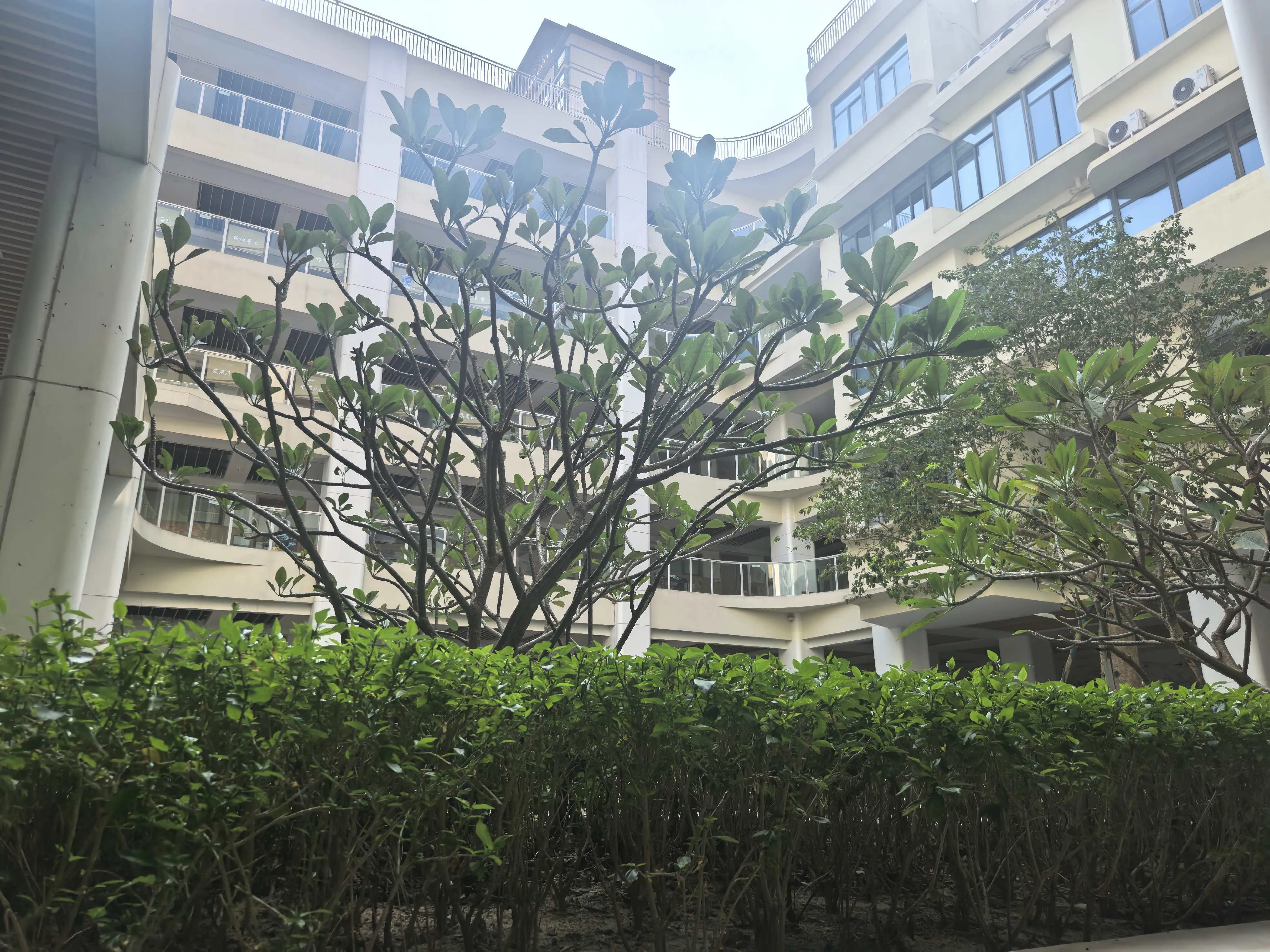 Beihai Park - lush trees and lakeside views