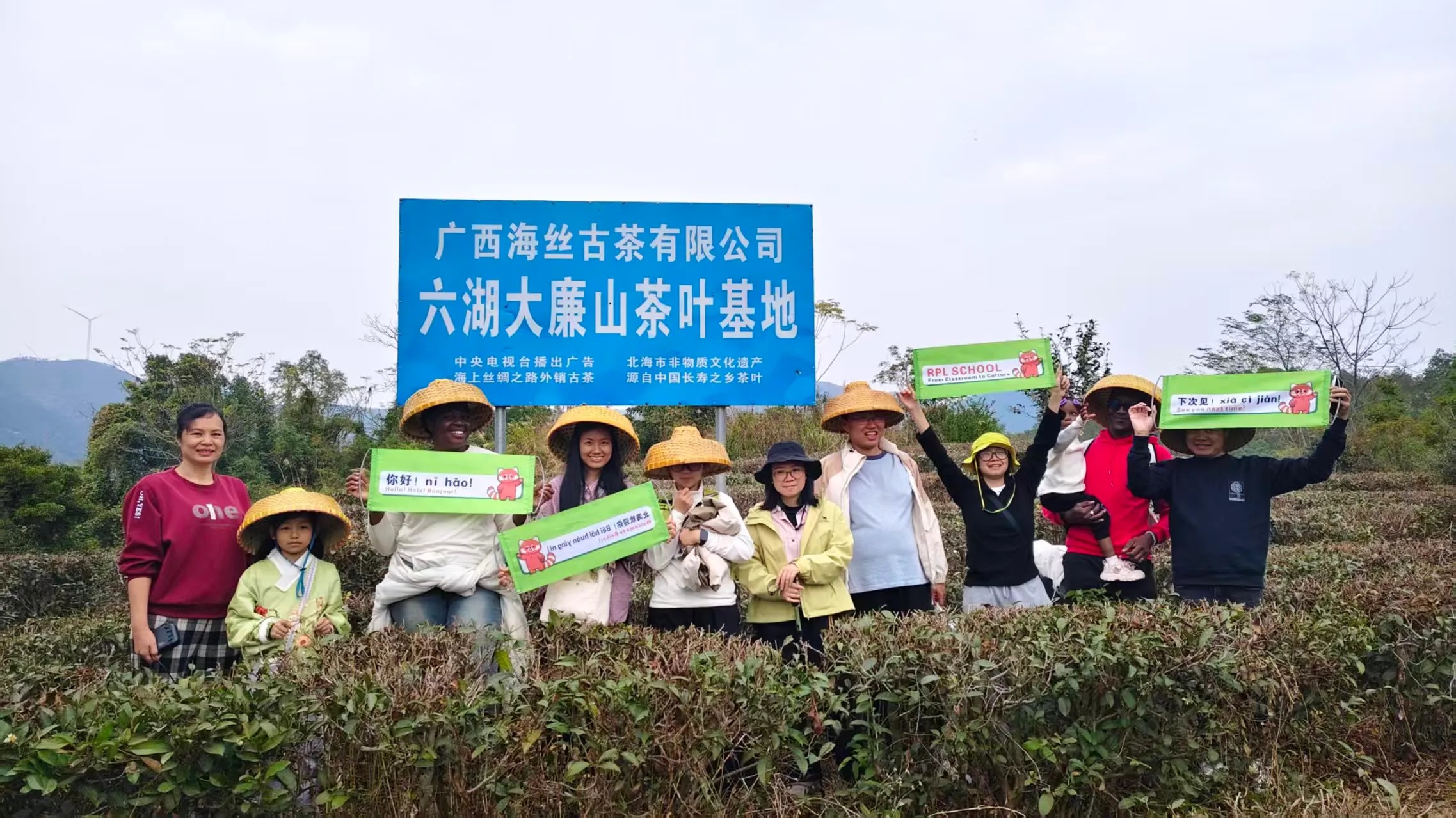 Tea picking cultural activity