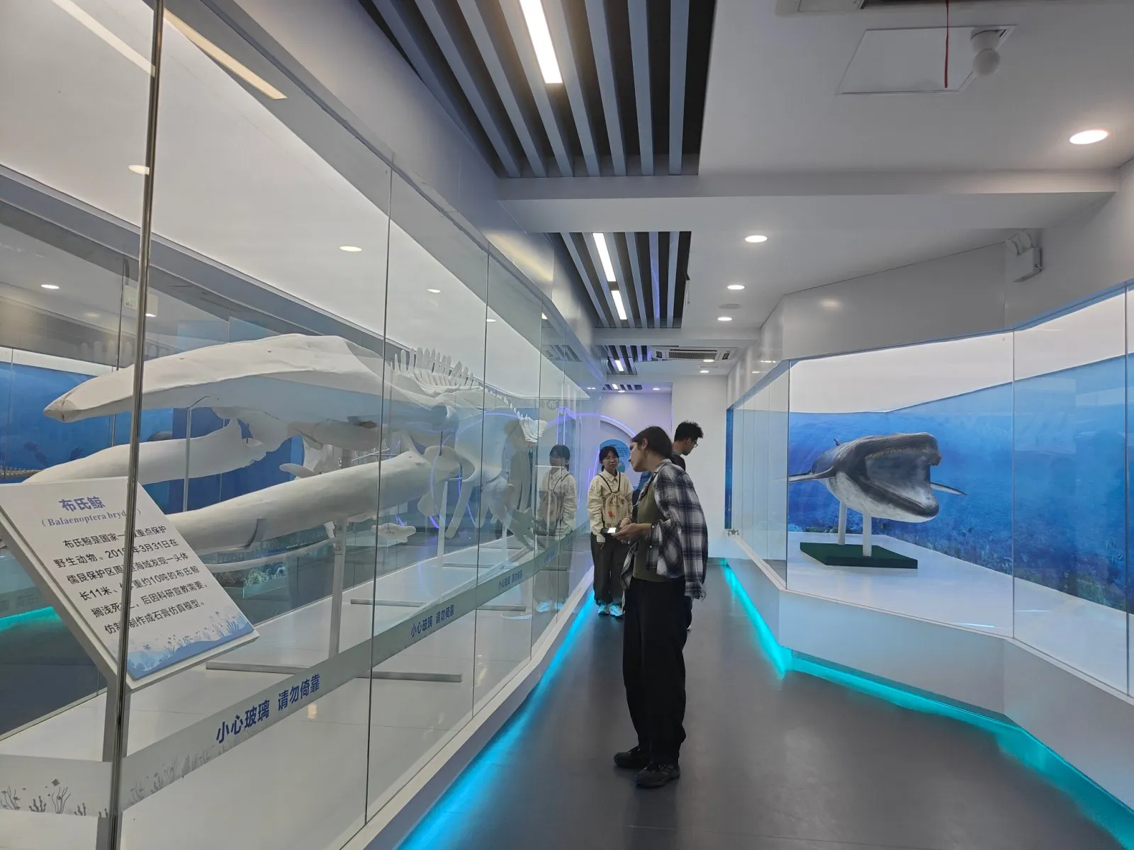 Beihai aquarium visit student activity